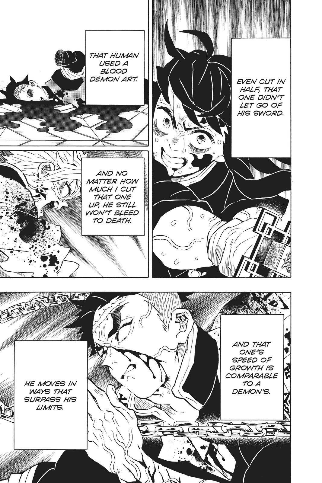 Demon Slayer: Kimetsu no Yaiba, chapter 176, image 3