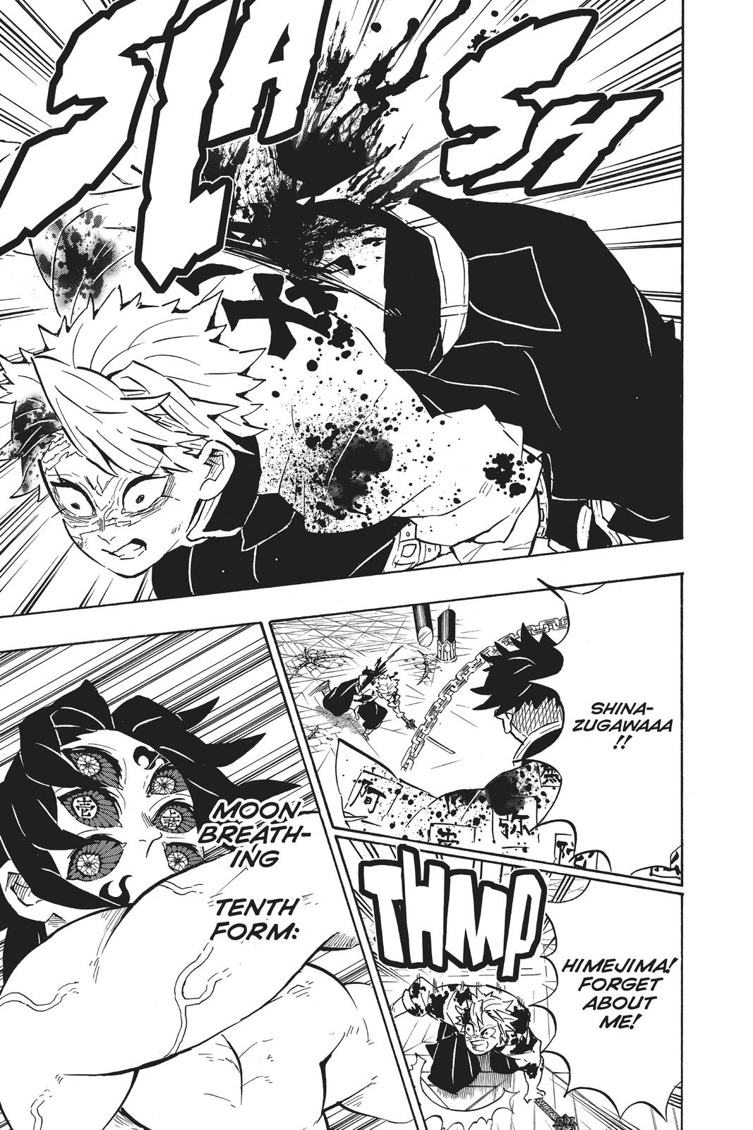 Demon Slayer: Kimetsu no Yaiba, chapter 172, image 11