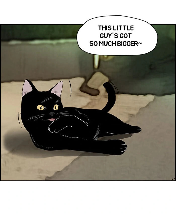 Wind Breaker, chapter 65.5, page 7