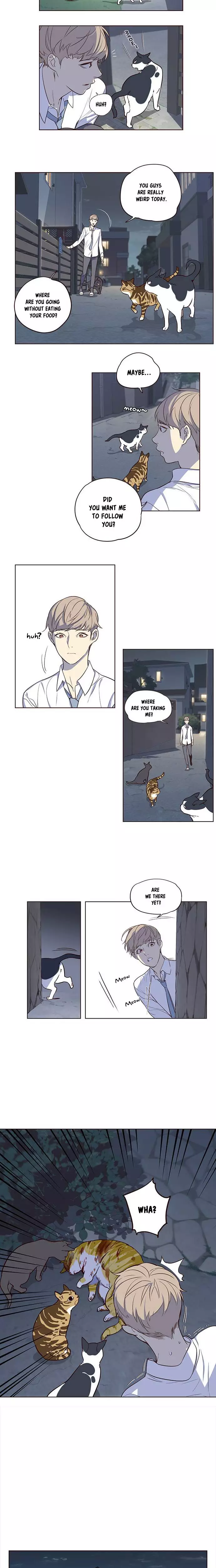 Eleceed, chapter 1, image 11