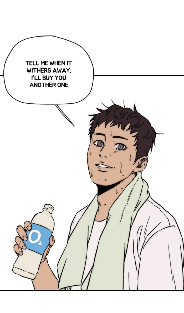Wind Breaker, chapter 217, image 57