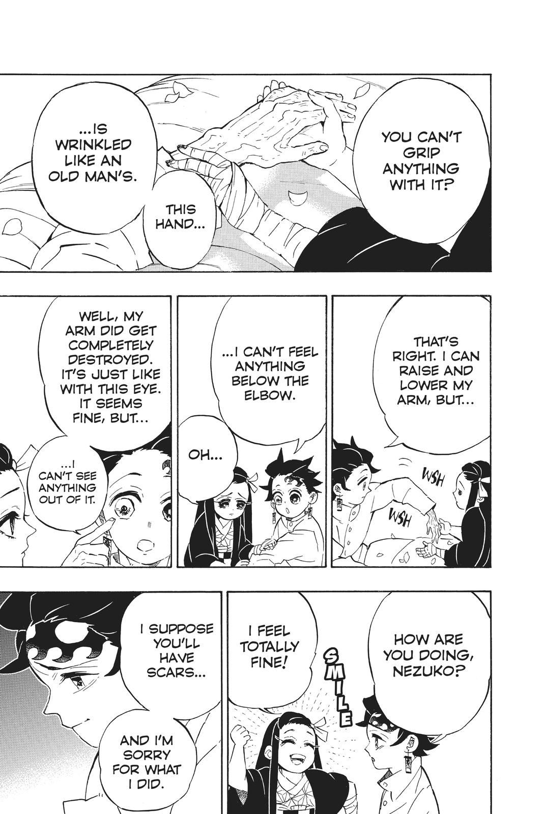 Demon Slayer: Kimetsu no Yaiba, chapter 204, image 4