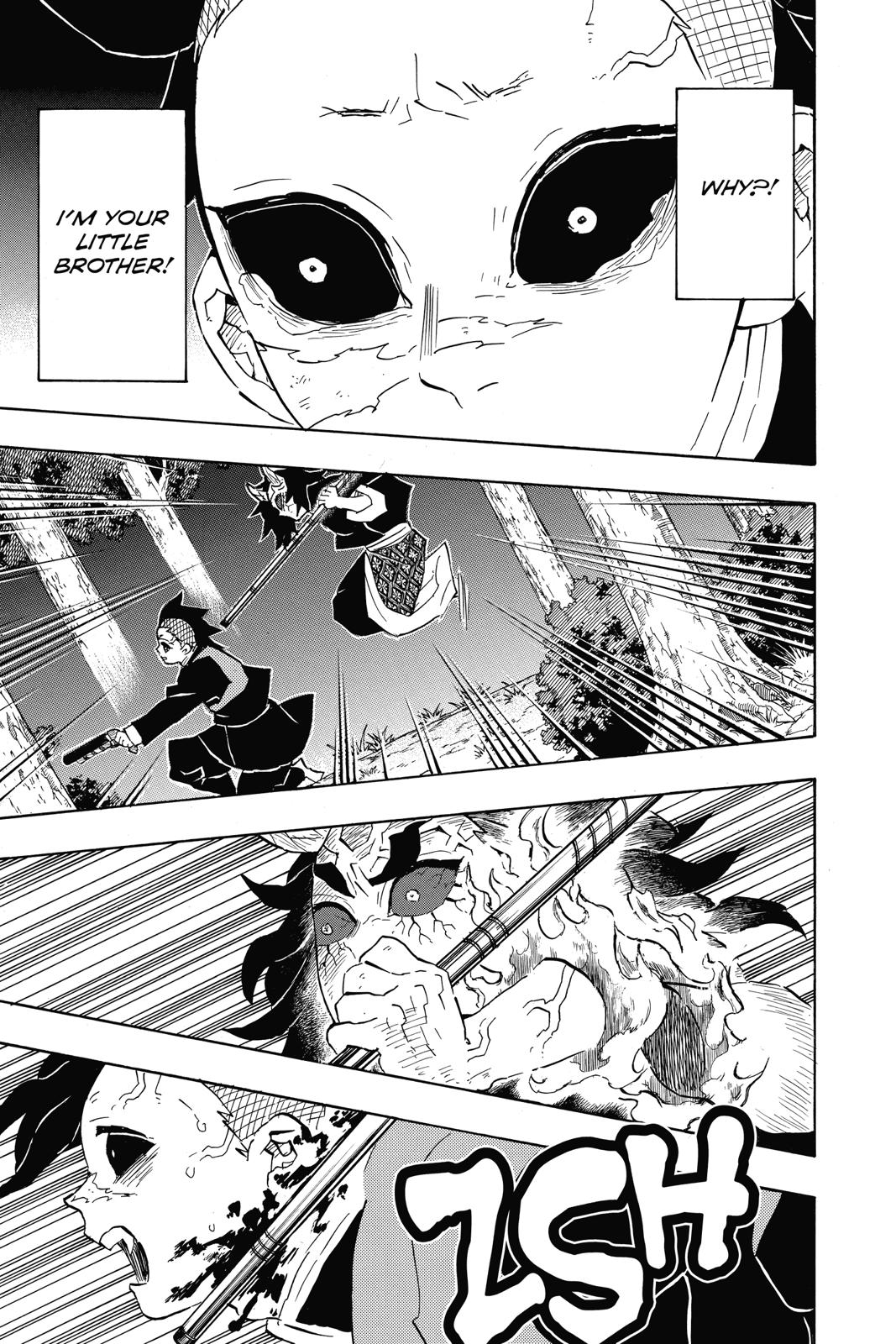 Demon Slayer: Kimetsu no Yaiba, chapter 115, image 13