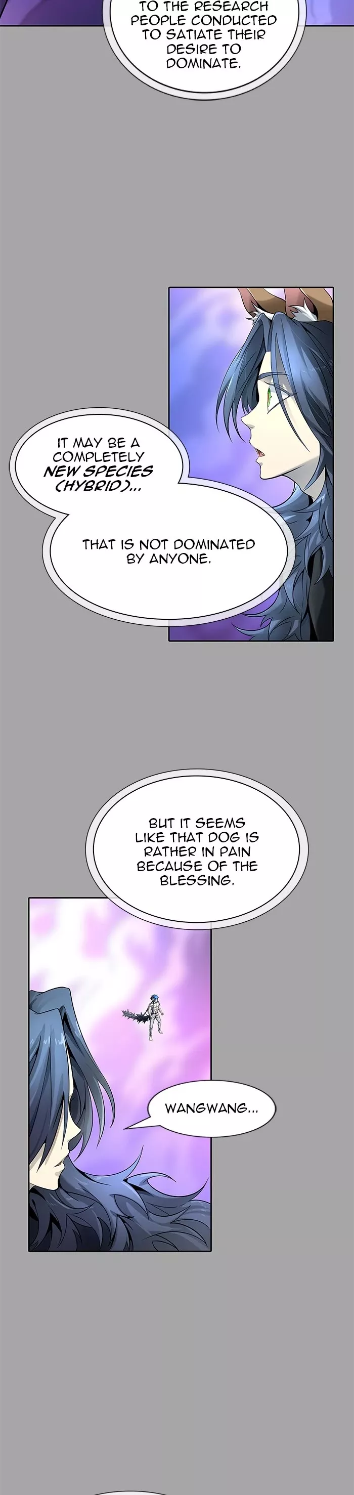 Tower of God, chapter 527, image 28