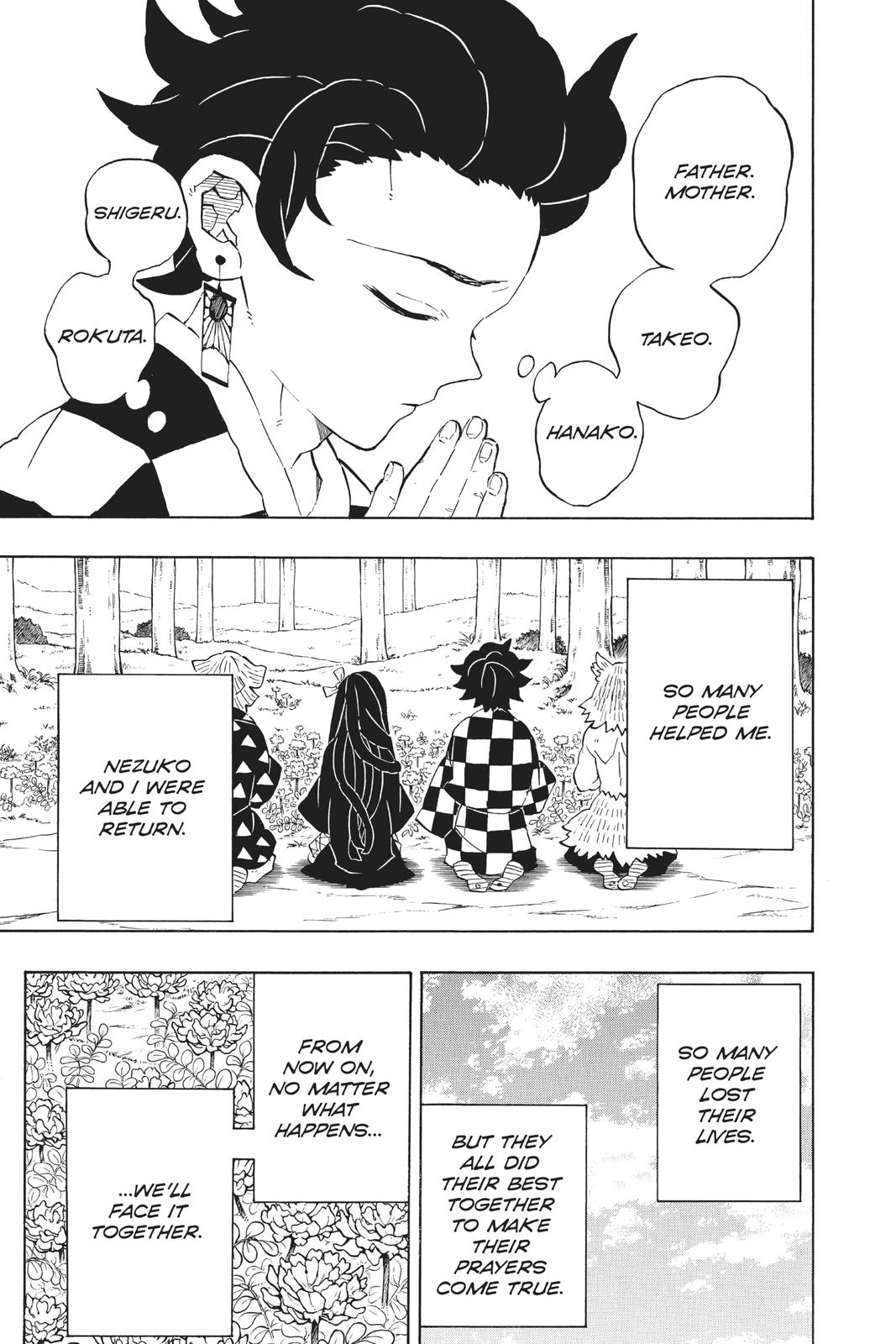 Demon Slayer: Kimetsu no Yaiba, chapter 204, image 26