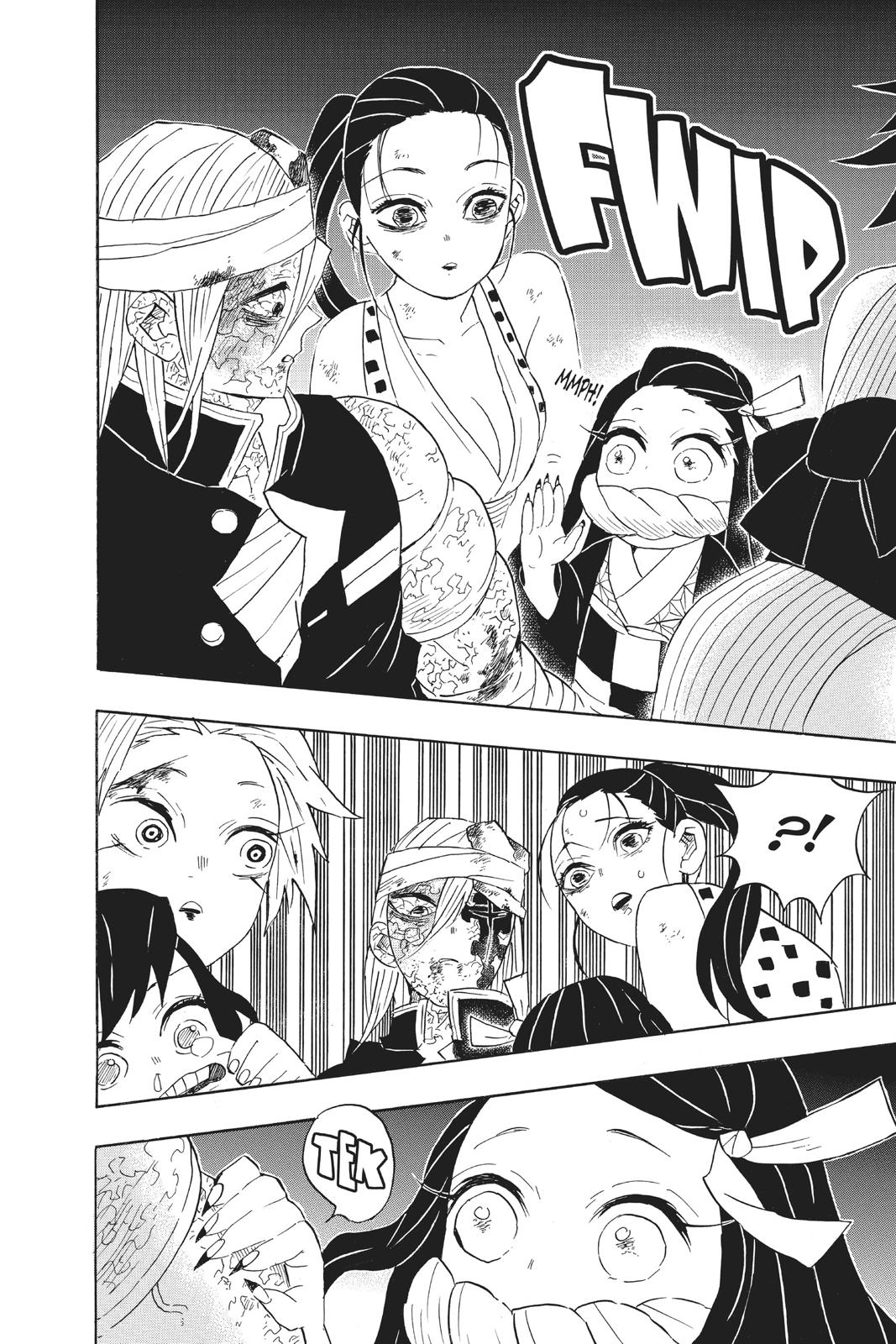 Demon Slayer: Kimetsu no Yaiba, chapter 95, image 12