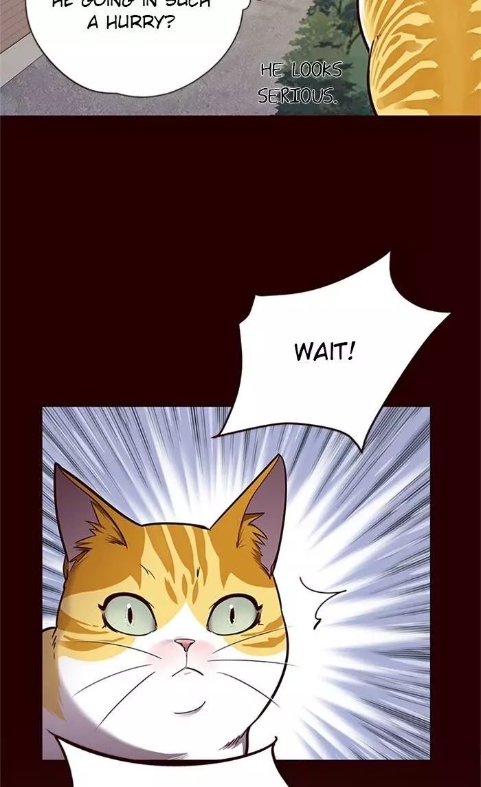 Eleceed, chapter 52, image 40