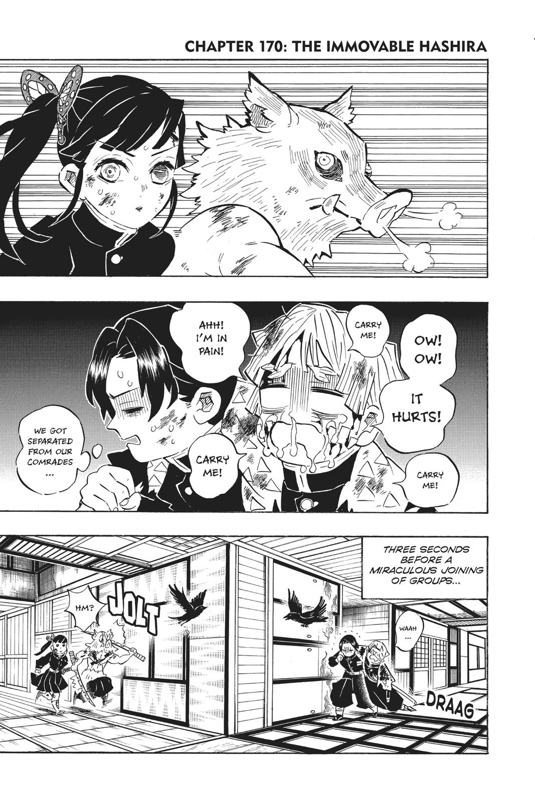Demon Slayer: Kimetsu no Yaiba, chapter 170, image 7