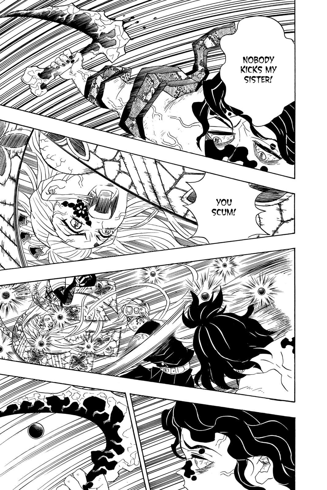 Demon Slayer: Kimetsu no Yaiba, chapter 87, image 14