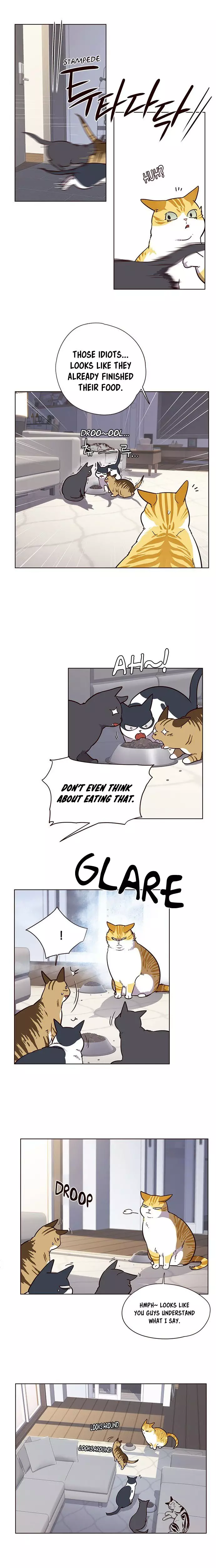 Eleceed, chapter 9, image 7