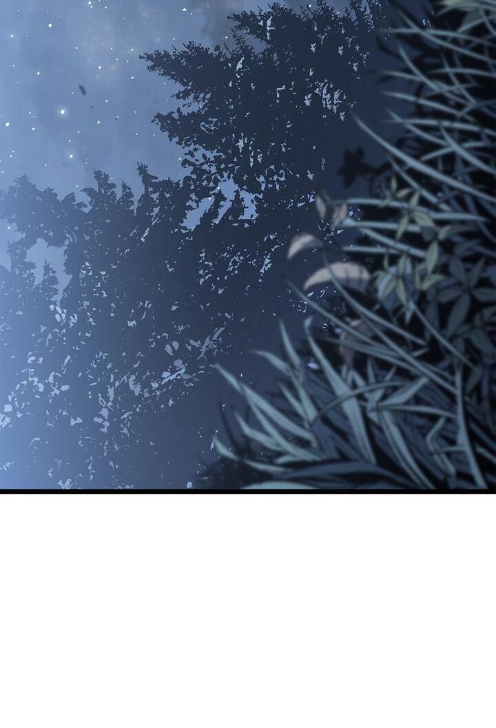 Solo Leveling, chapter 155, page 104