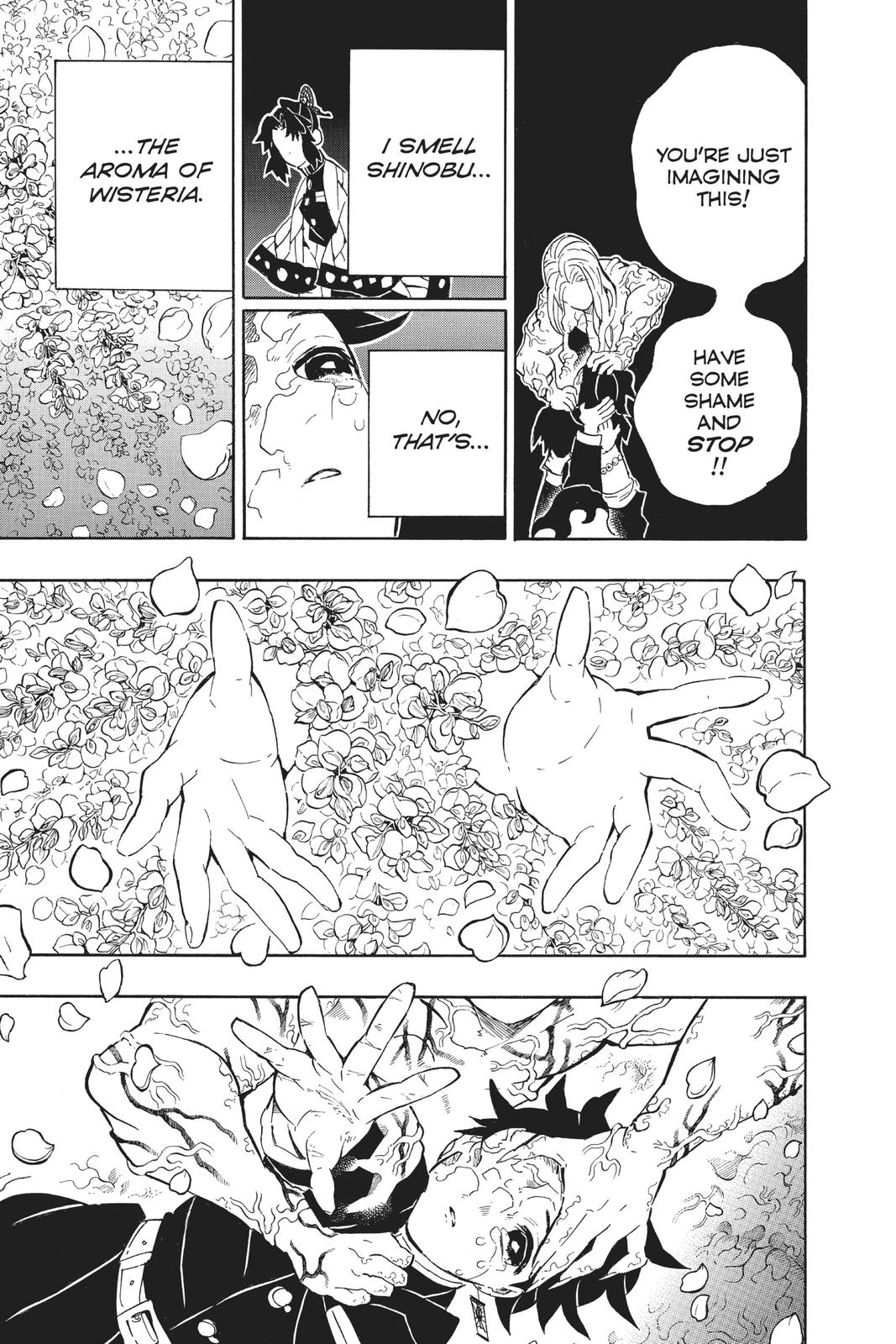 Demon Slayer: Kimetsu no Yaiba, chapter 203, image 9