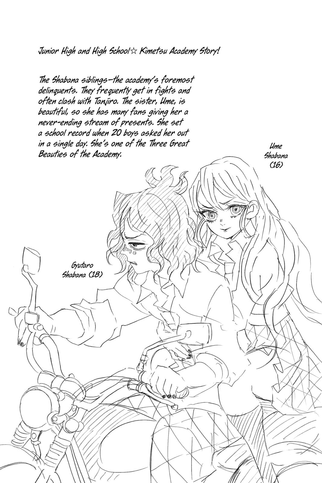 Demon Slayer: Kimetsu no Yaiba, chapter 114, image 20