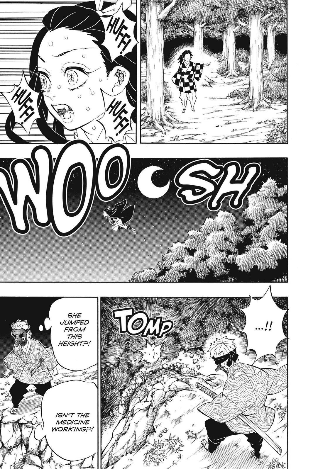 Demon Slayer: Kimetsu no Yaiba, chapter 185, image 7