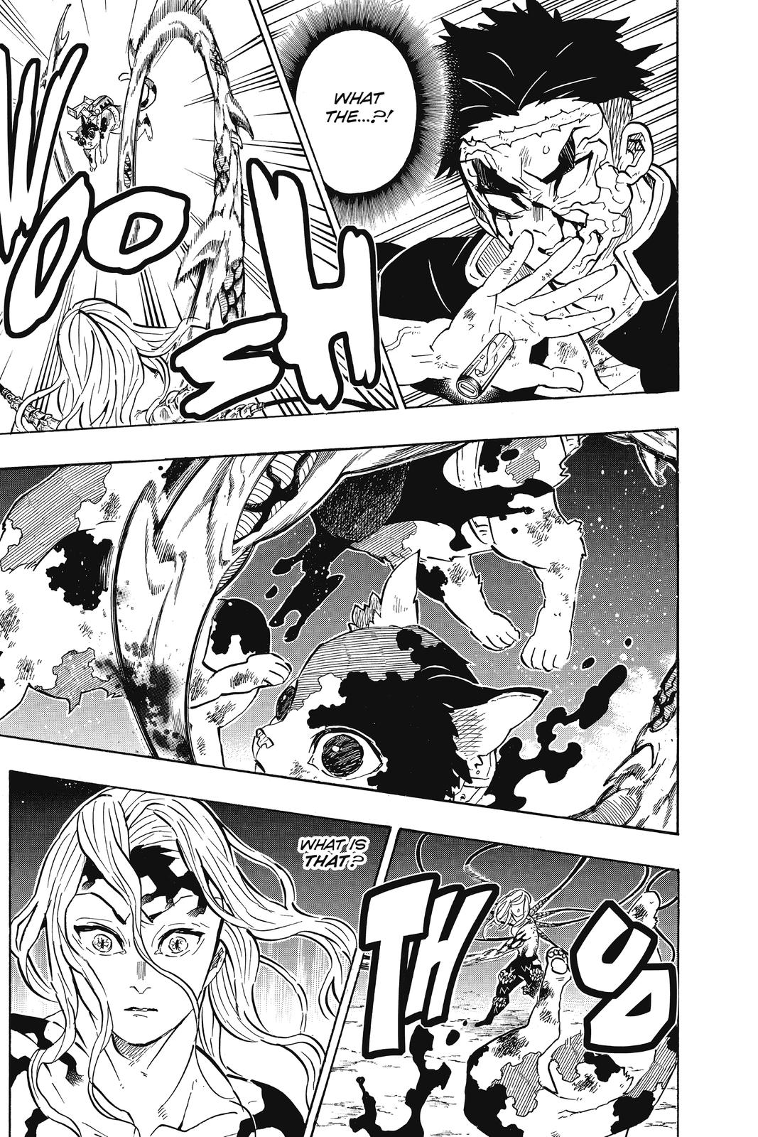 Demon Slayer: Kimetsu no Yaiba, chapter 189, image 13