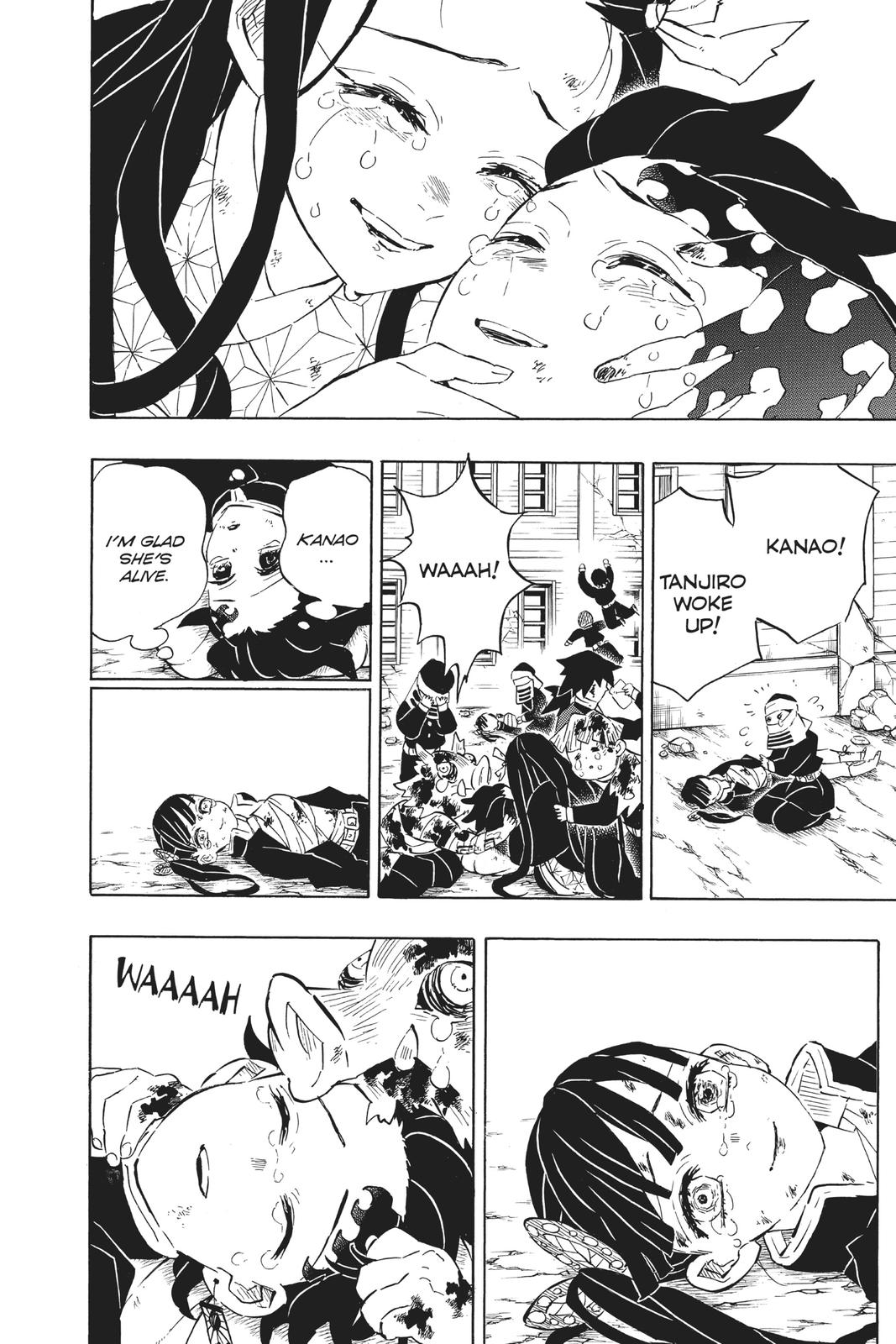 Demon Slayer: Kimetsu no Yaiba, chapter 203, image 18