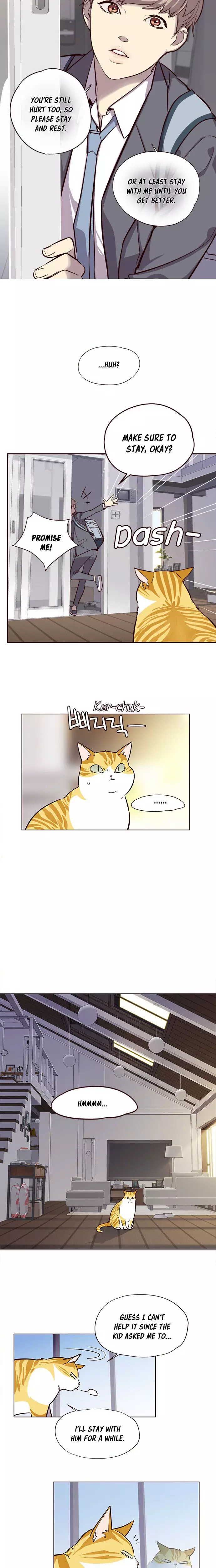 Eleceed, chapter 6, image 11