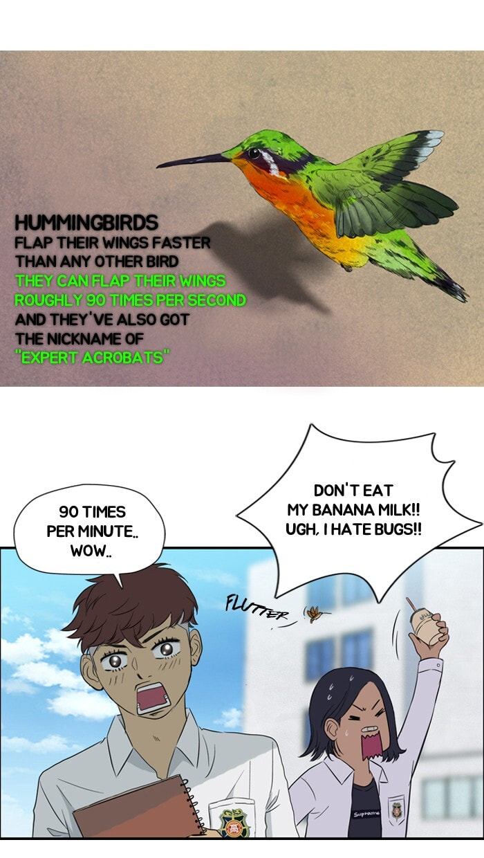 Wind Breaker, chapter 28, page 43