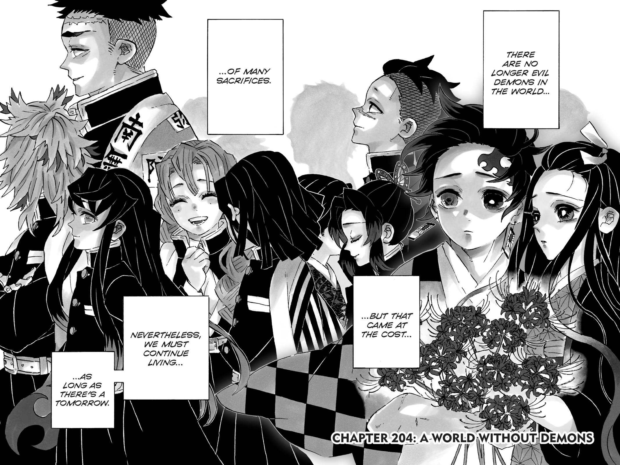 Demon Slayer: Kimetsu no Yaiba, chapter 204, image 2