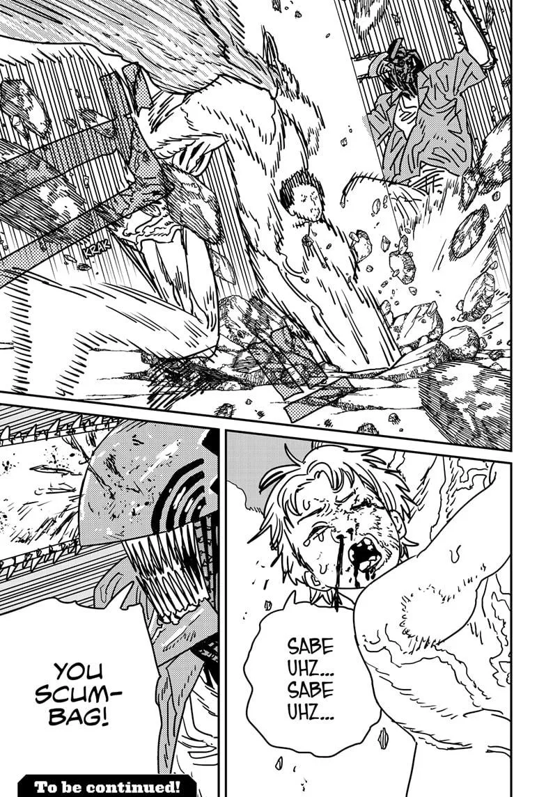 Chainsaw Man, chapter 202, image 15