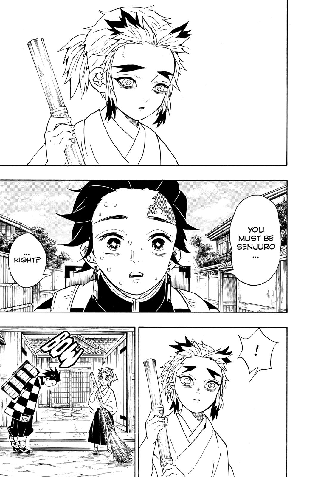 Demon Slayer: Kimetsu no Yaiba, chapter 67, image 17