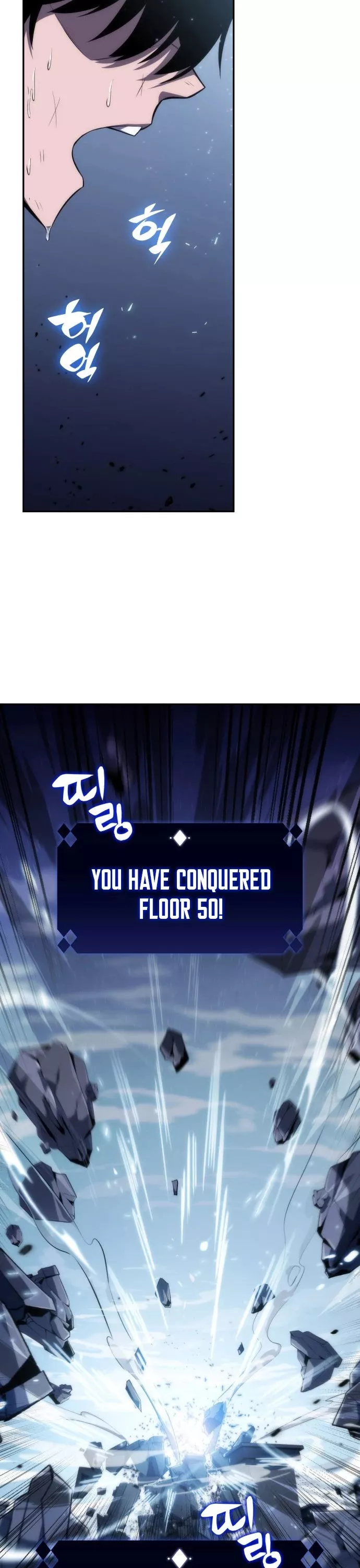 Solo Max-Level Newbie, chapter 1, image 10