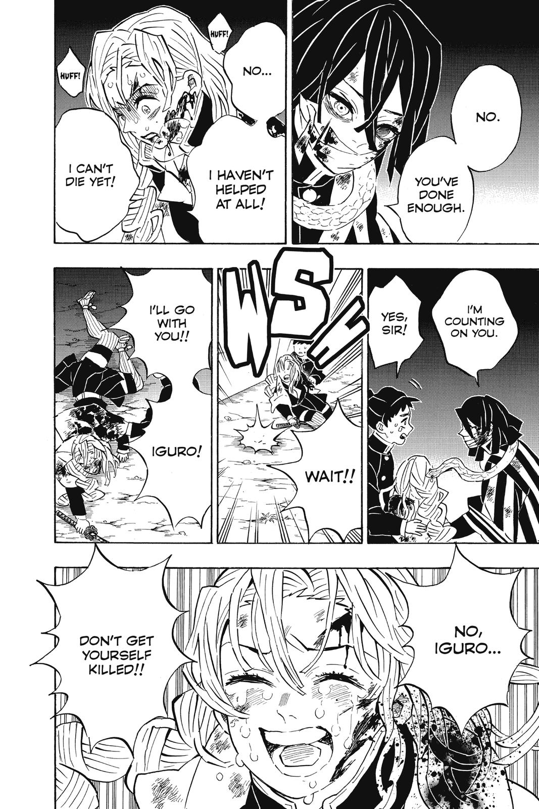 Demon Slayer: Kimetsu no Yaiba, chapter 188, image 14