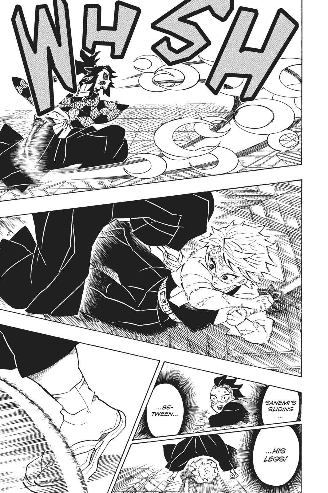 Demon Slayer: Kimetsu no Yaiba, chapter 166, image 17