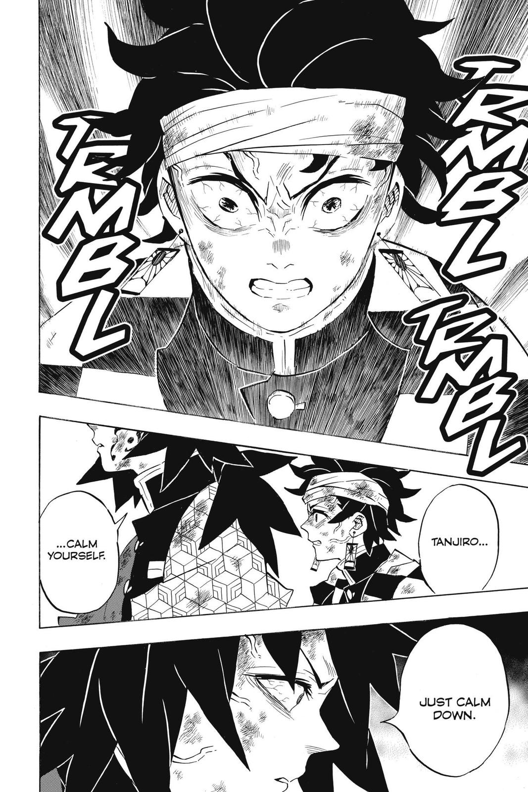 Demon Slayer: Kimetsu no Yaiba, chapter 181, image 13