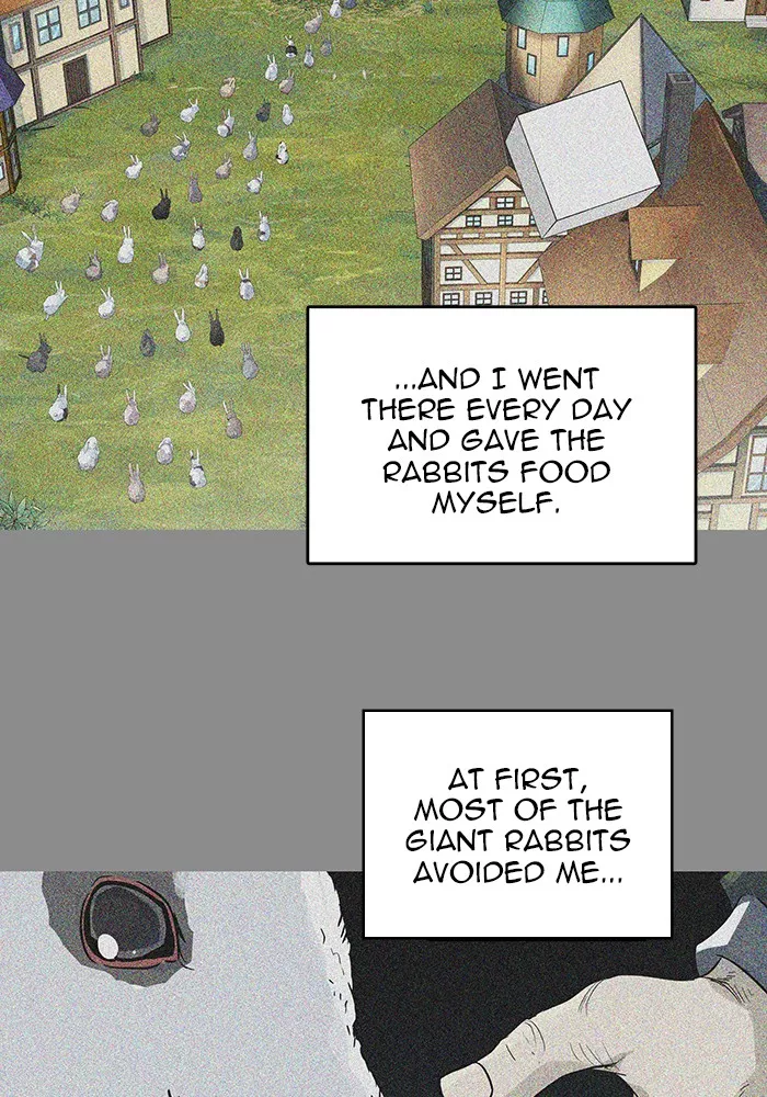 Tower of God, chapter 494, image 12