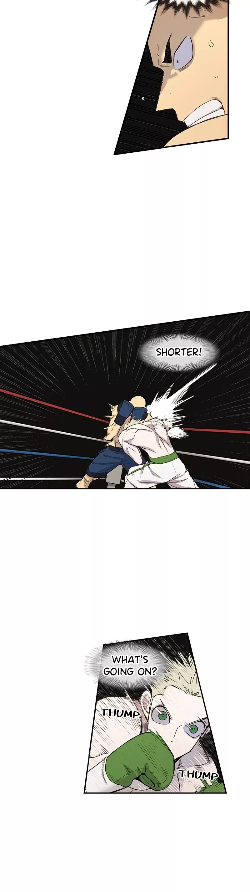 The Boxer, chapter 115, image 16