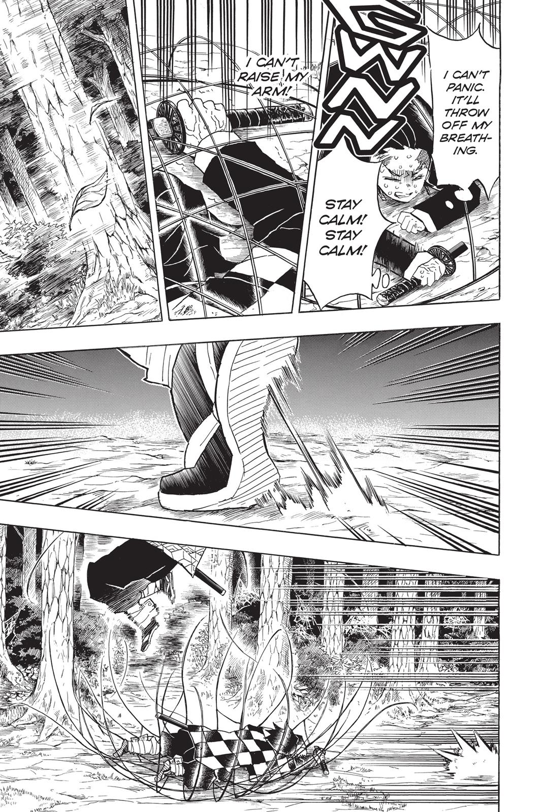 Demon Slayer: Kimetsu no Yaiba, chapter 42, image 11