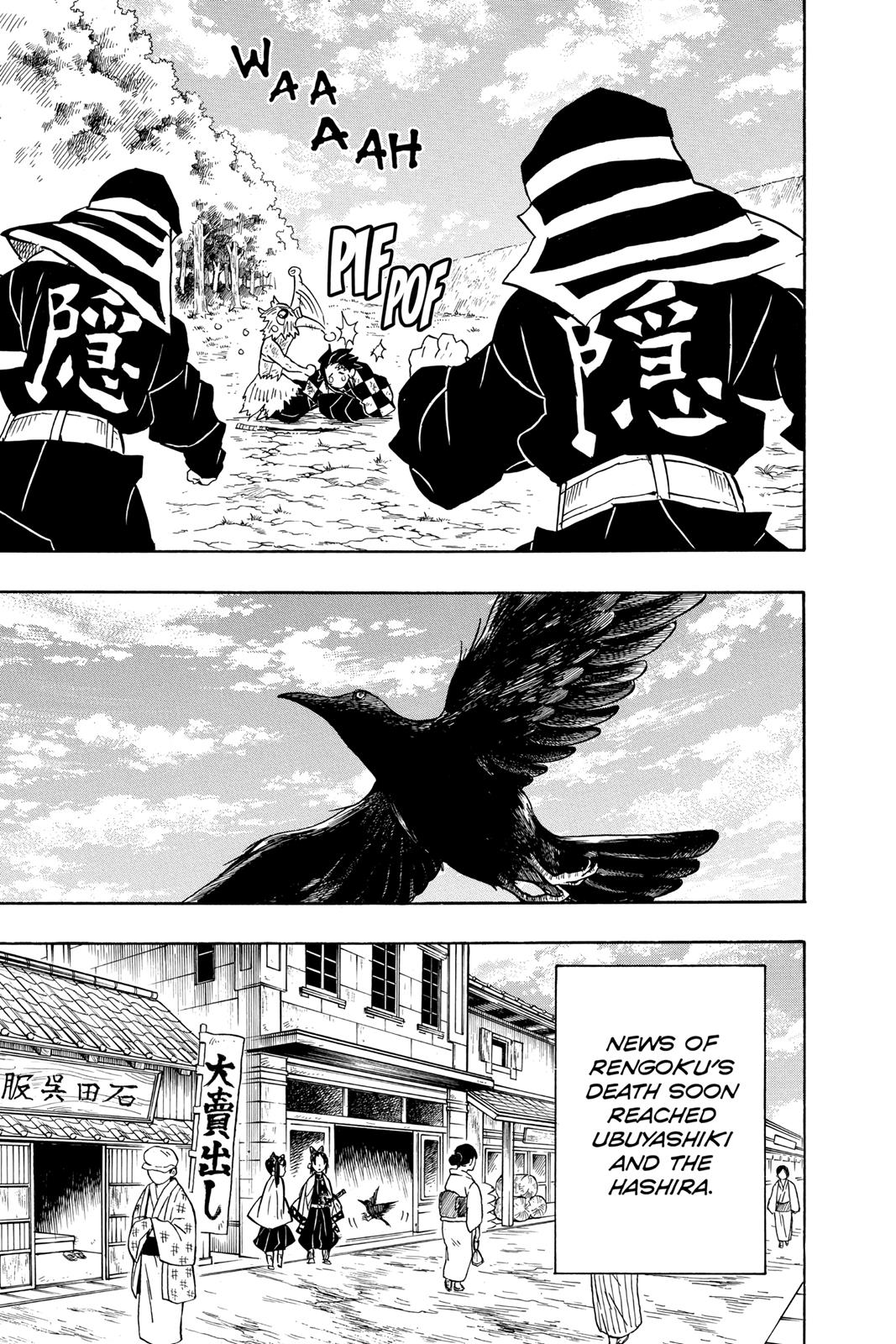 Demon Slayer: Kimetsu no Yaiba, chapter 66, image 17