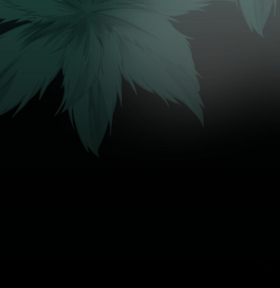 The Beginning After the End, chapter 19, image 13