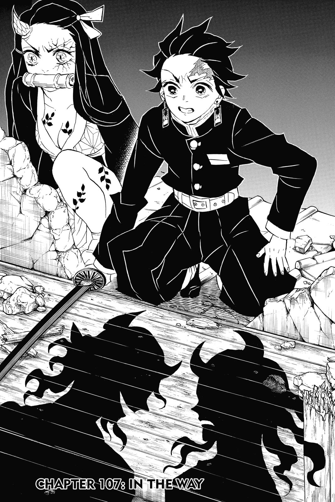 Demon Slayer: Kimetsu no Yaiba, chapter 107, image 7