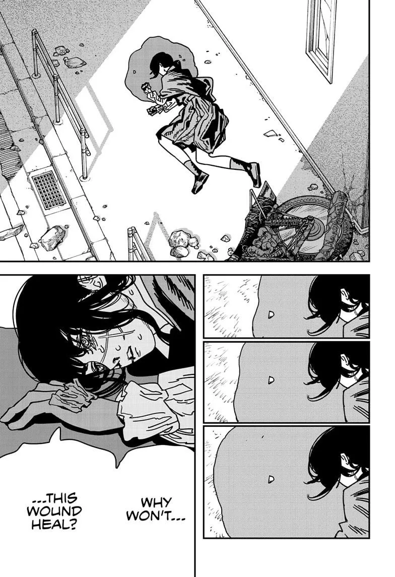 Chainsaw Man, chapter 228, image 12