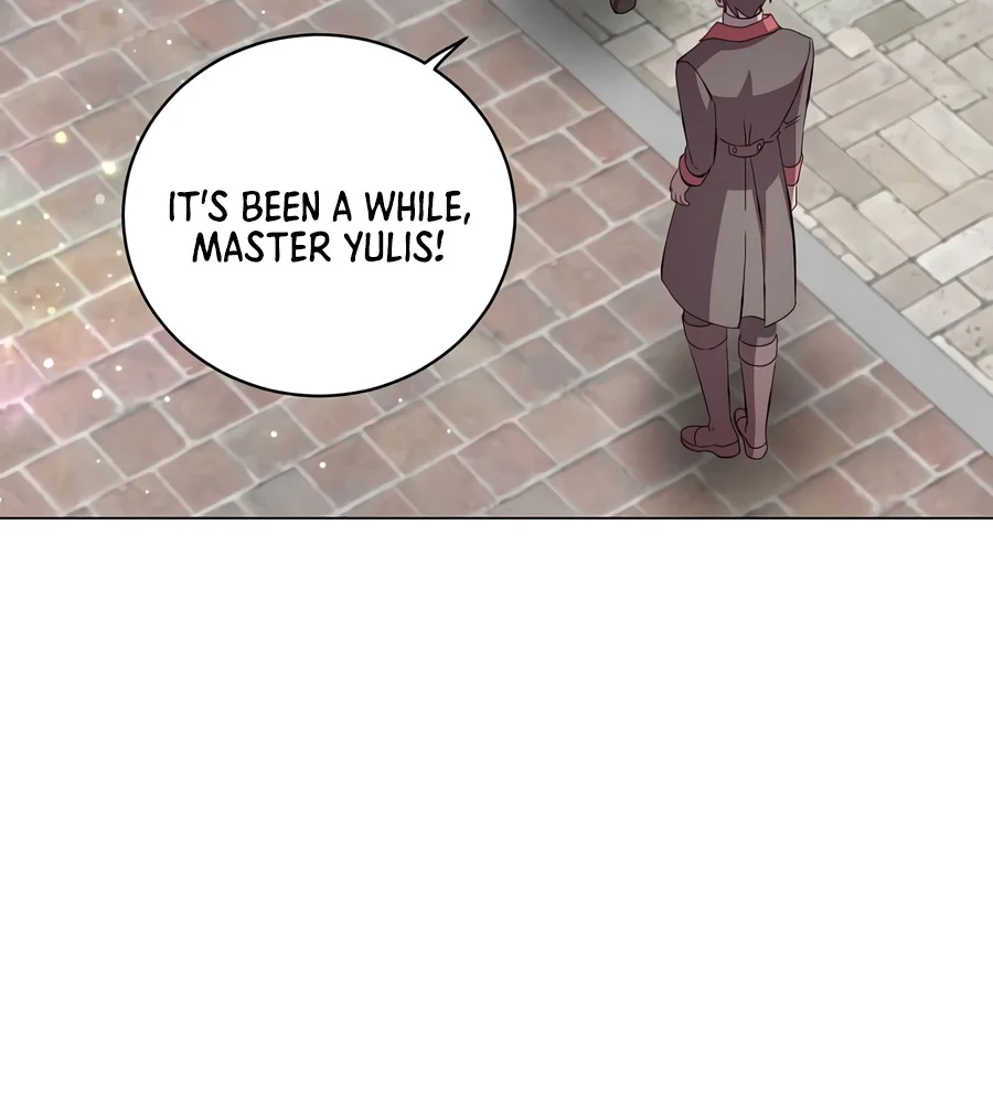 The Max Level Hero has Returned!, chapter 247, image 8