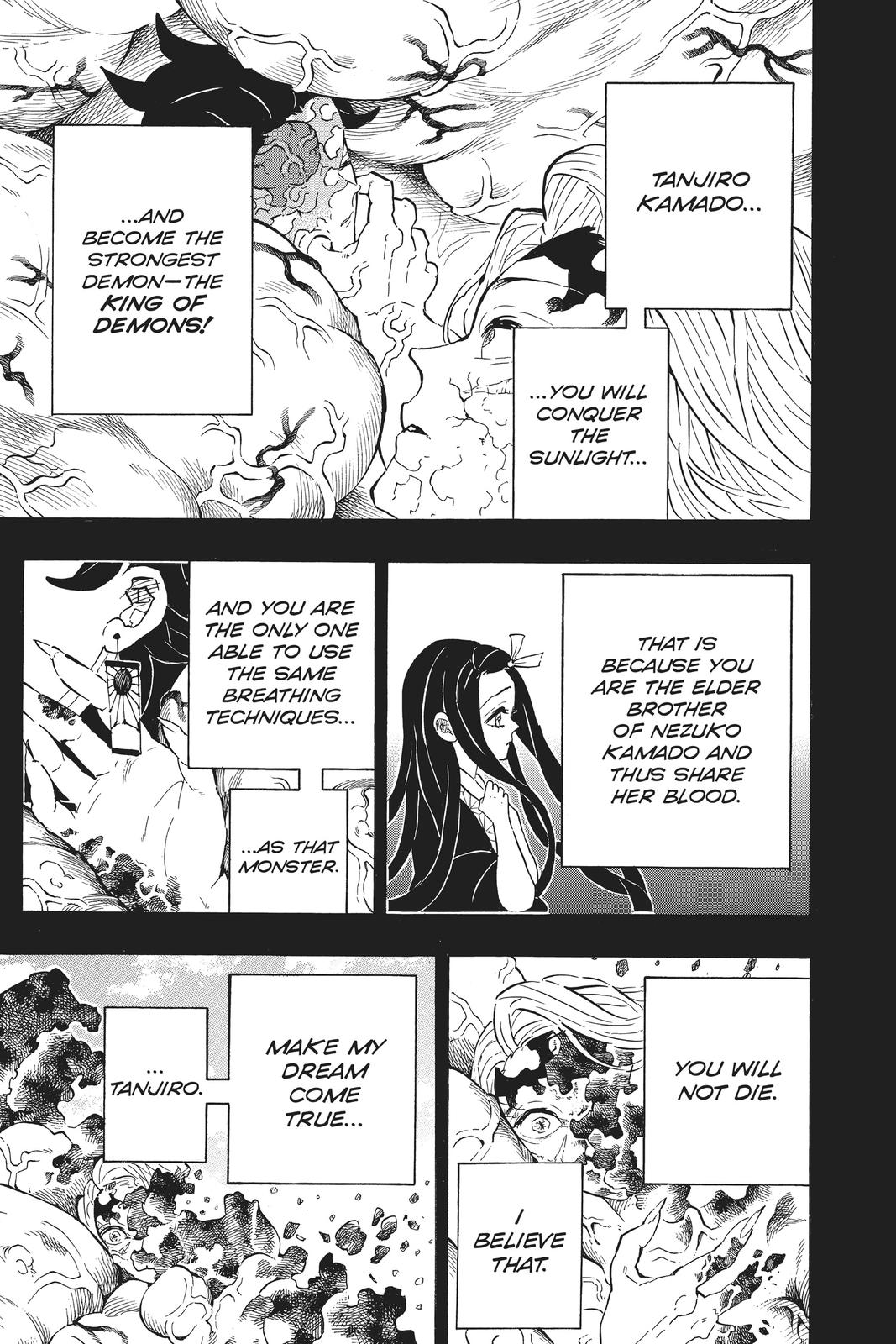 Demon Slayer: Kimetsu no Yaiba, chapter 201, image 5