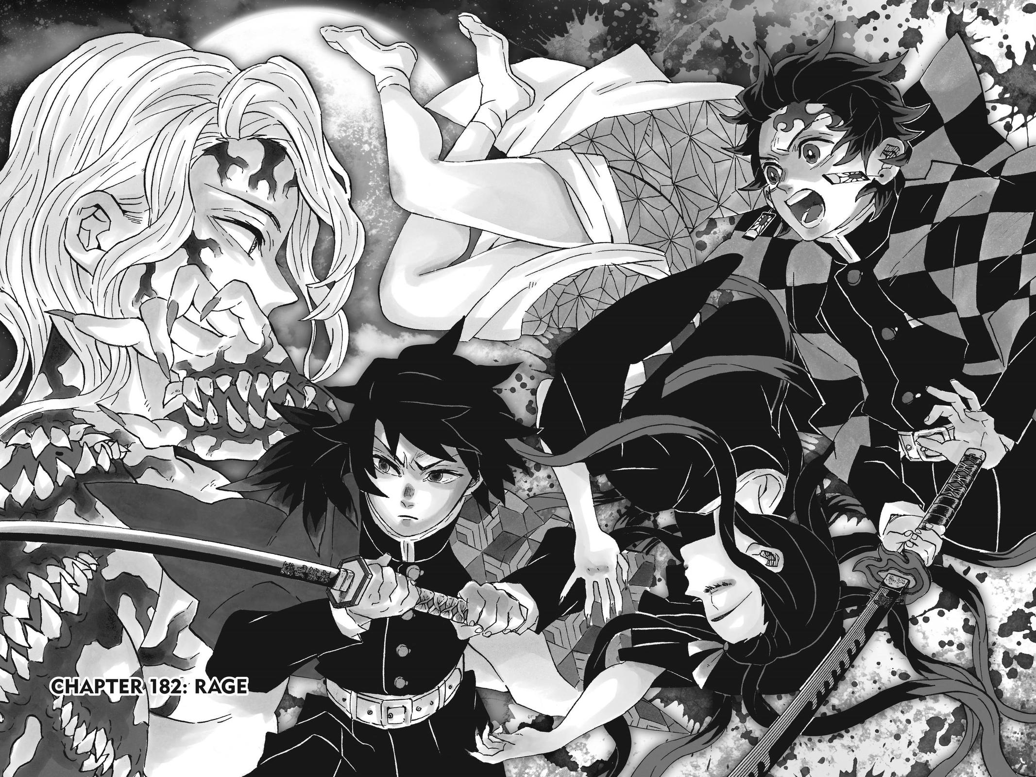 Demon Slayer: Kimetsu no Yaiba, chapter 182, image 2