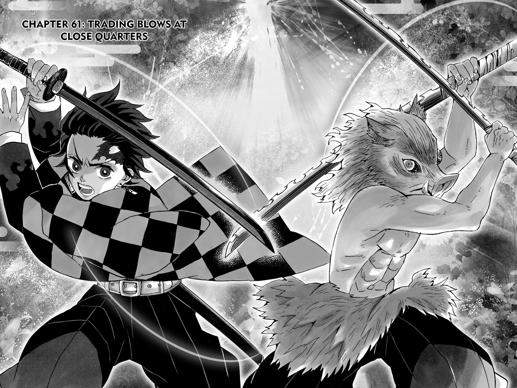 Demon Slayer: Kimetsu no Yaiba, chapter 61, image 2