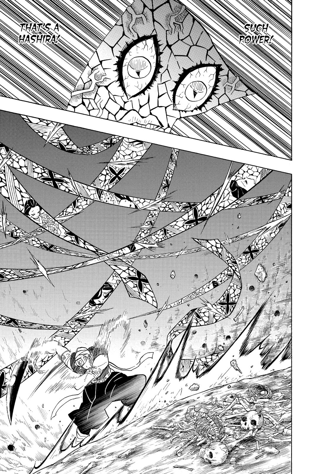 Demon Slayer: Kimetsu no Yaiba, chapter 79, image 17