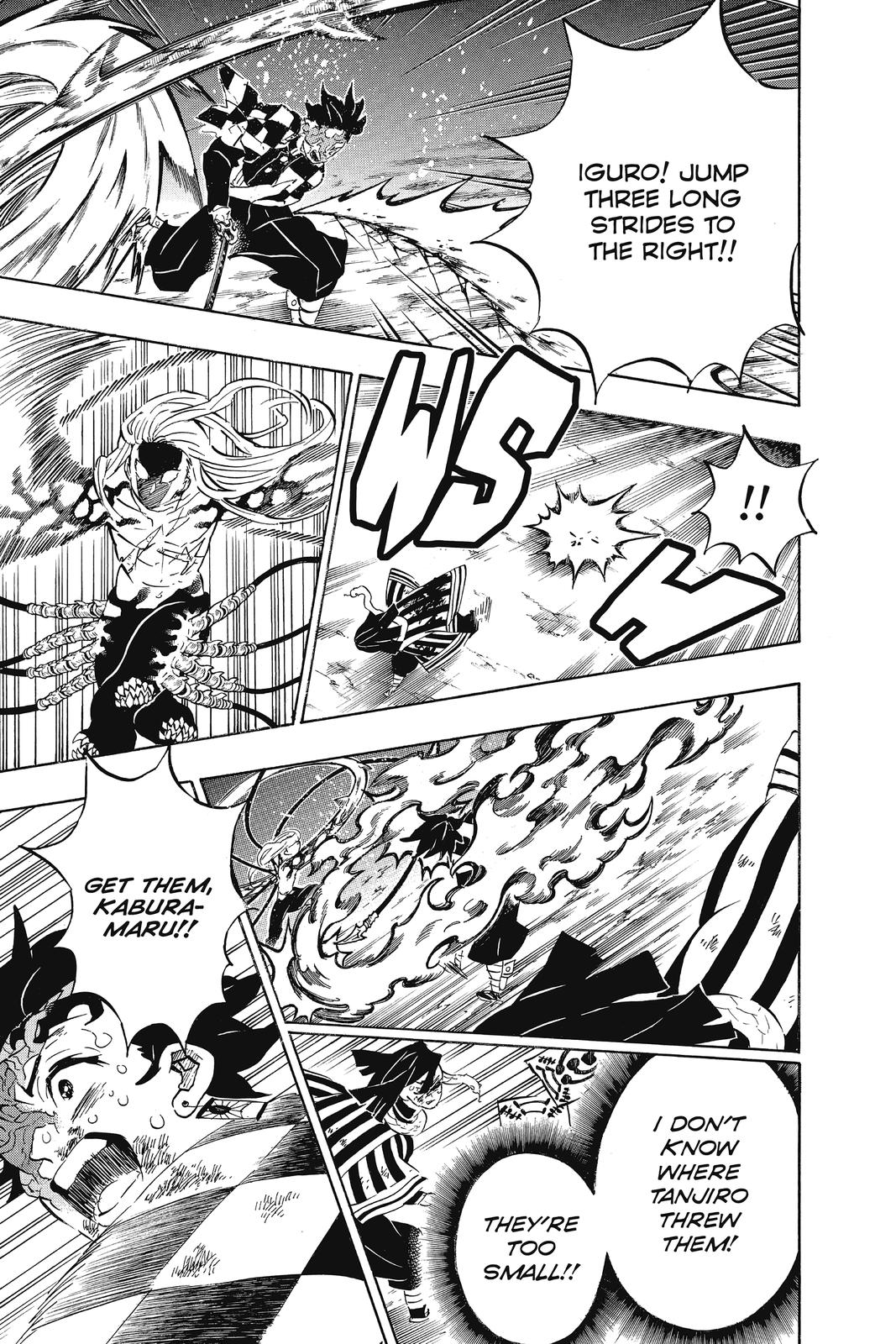 Demon Slayer: Kimetsu no Yaiba, chapter 195, image 15