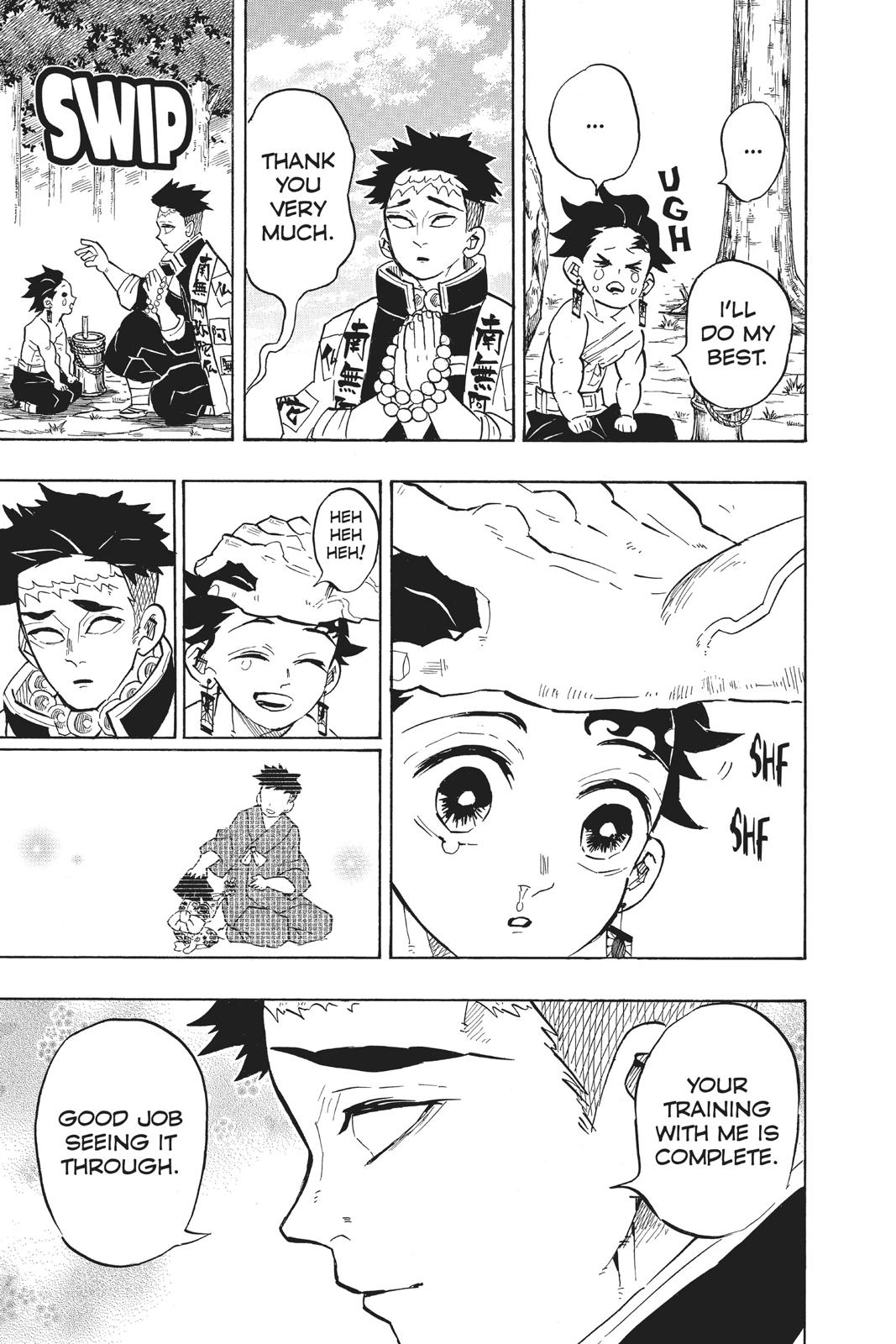 Demon Slayer: Kimetsu no Yaiba, chapter 135, image 19