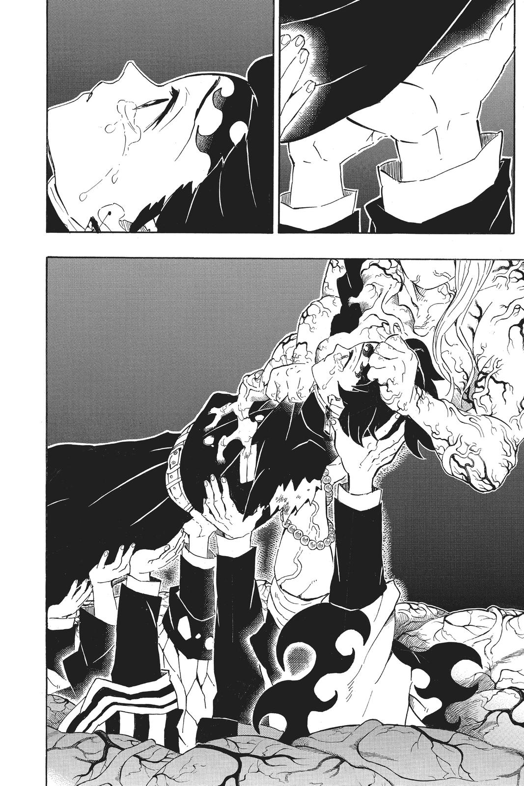 Demon Slayer: Kimetsu no Yaiba, chapter 203, image 8