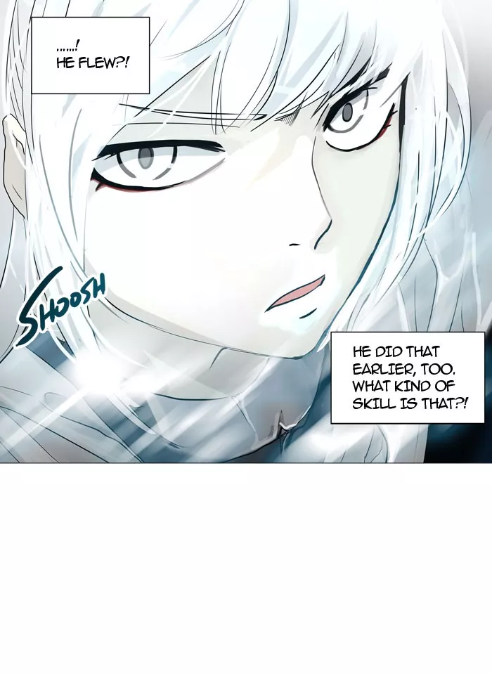 Tower of God, chapter 243, image 29