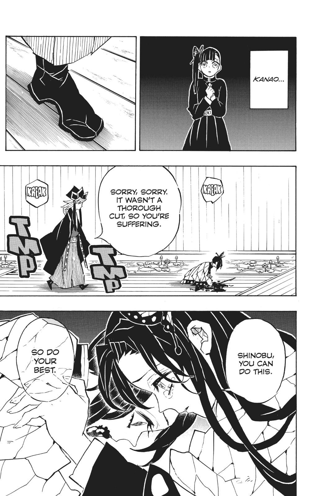 Demon Slayer: Kimetsu no Yaiba, chapter 142, image 13