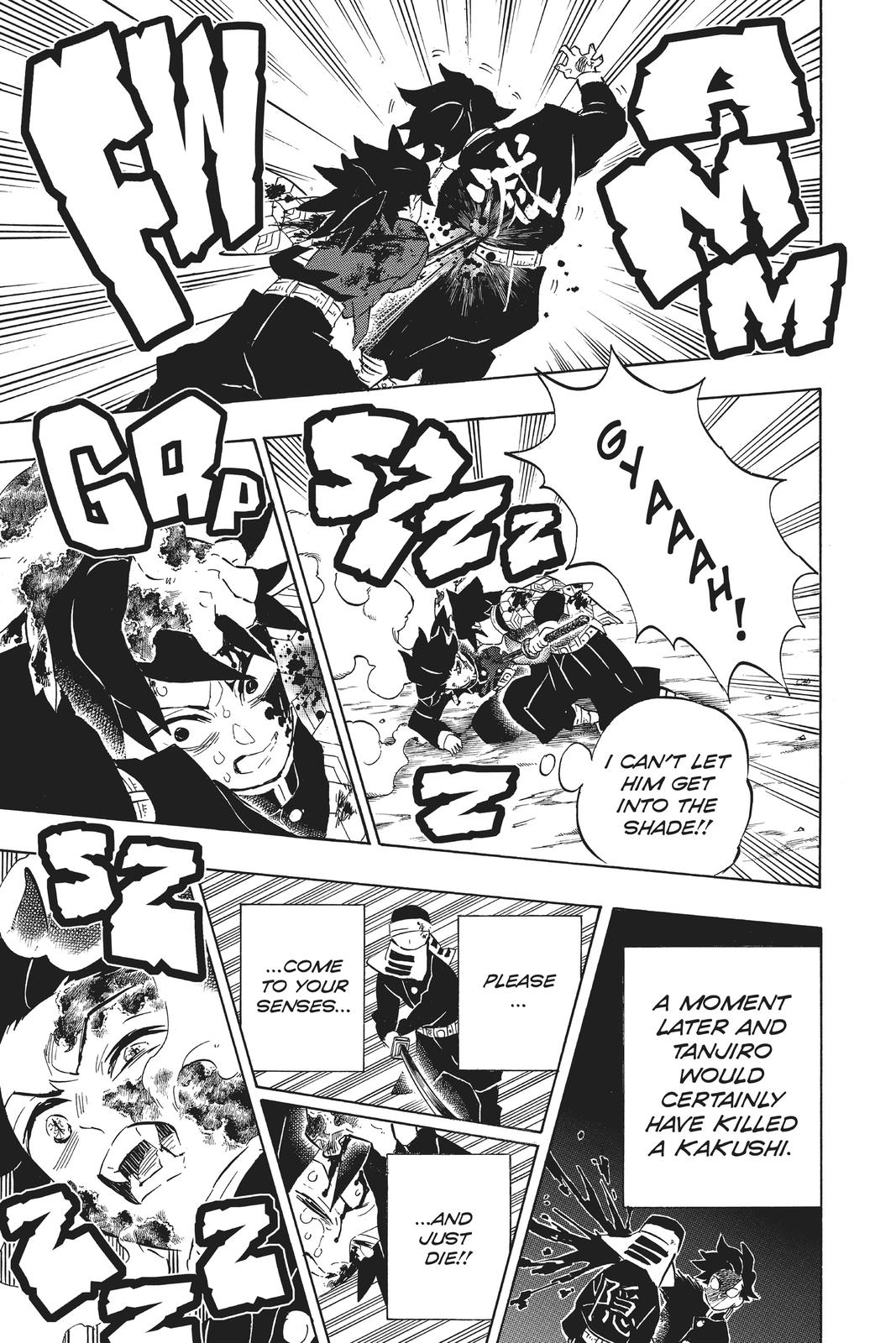 Demon Slayer: Kimetsu no Yaiba, chapter 201, image 13