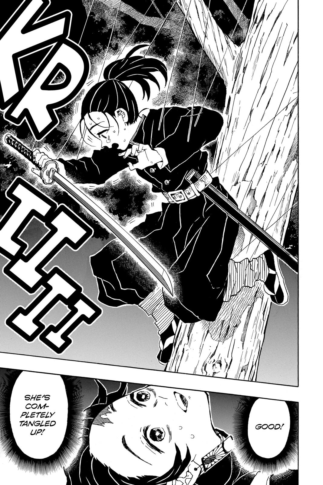 Demon Slayer: Kimetsu no Yaiba, chapter 30, image 17