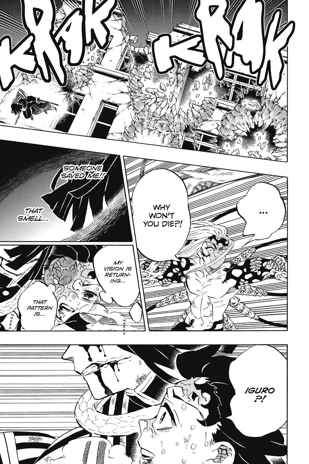Demon Slayer: Kimetsu no Yaiba, chapter 194, image 9