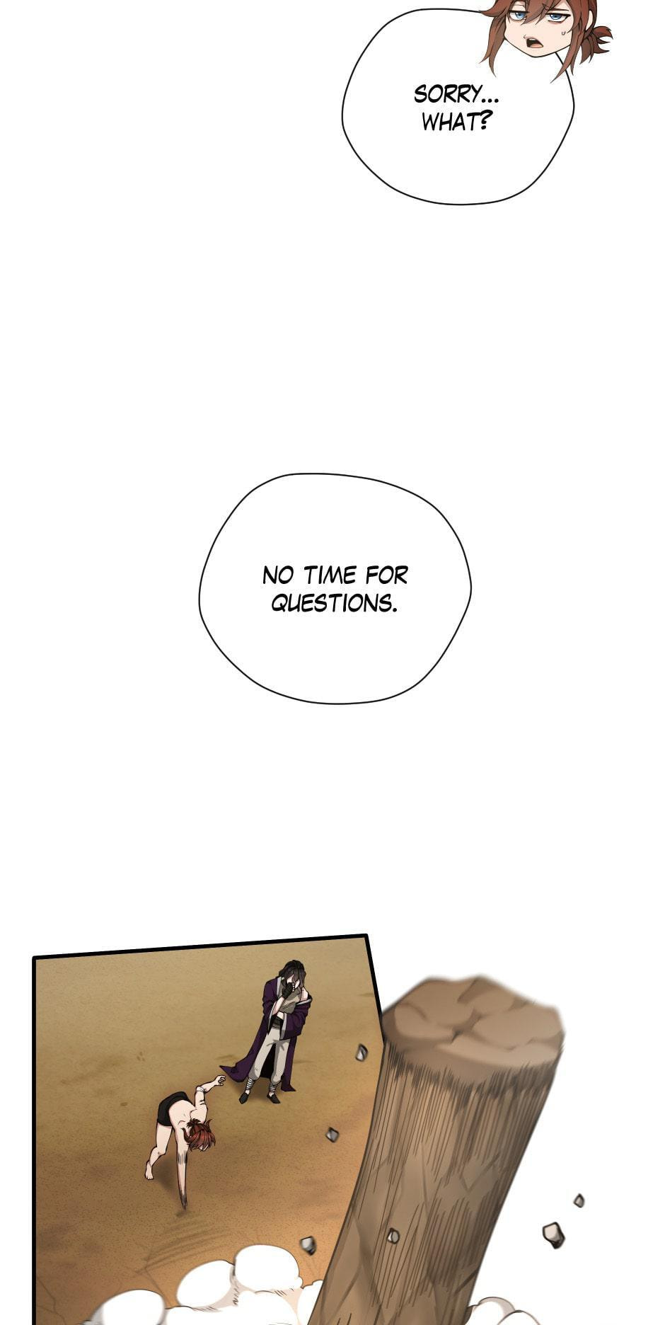 The Beginning After the End, chapter 161, image 46